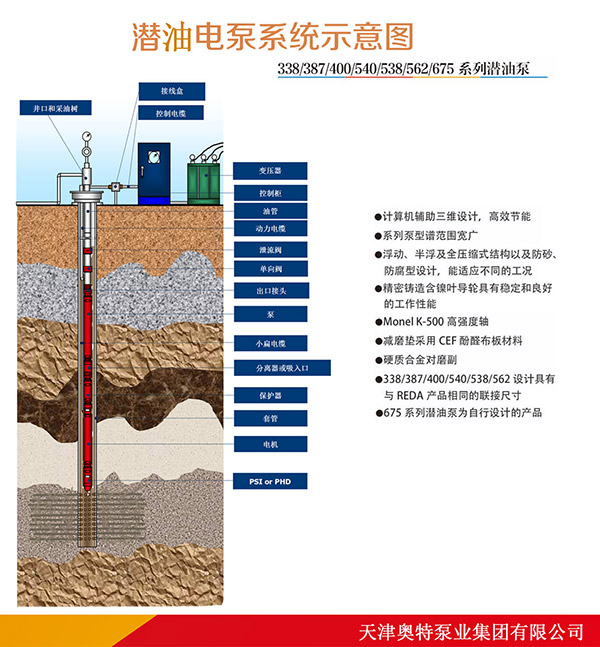 �����;�ʯ�������(xi��ng)Ŀ